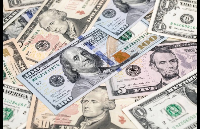 the diplomatic vission